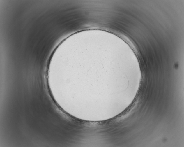 X0000116431149201001191505