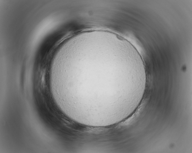 X0000116431150201001191505
