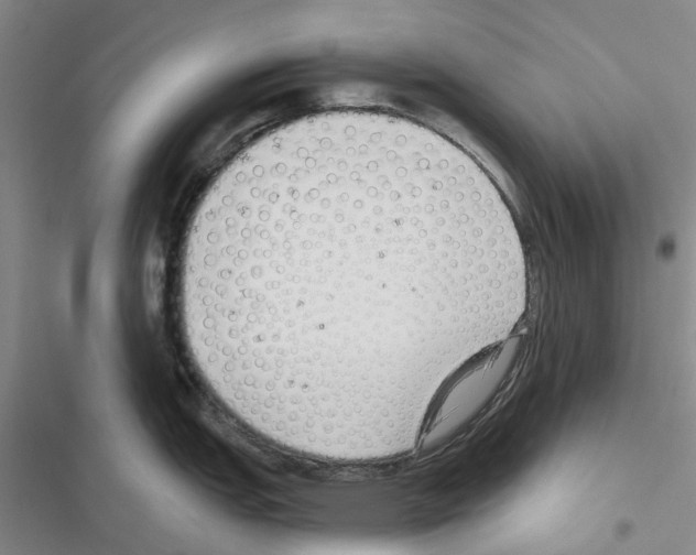 X0000116431151201001191505