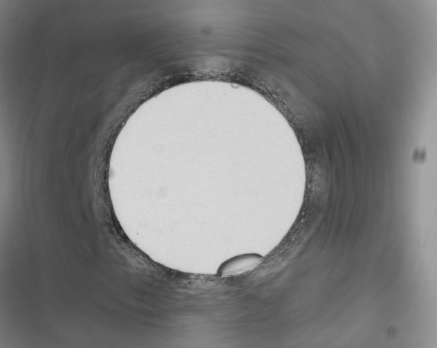 X0000116431153201001191505