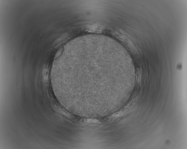 X0000116431154201001191505