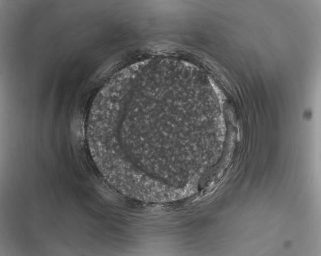 X0000116431155201001191505