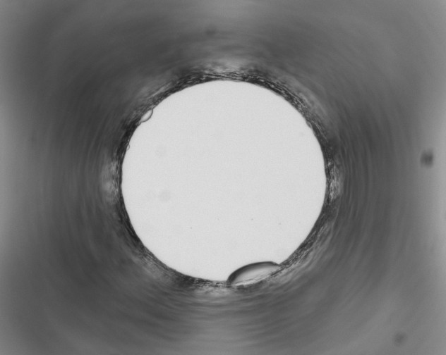 X0000116431156201001191505