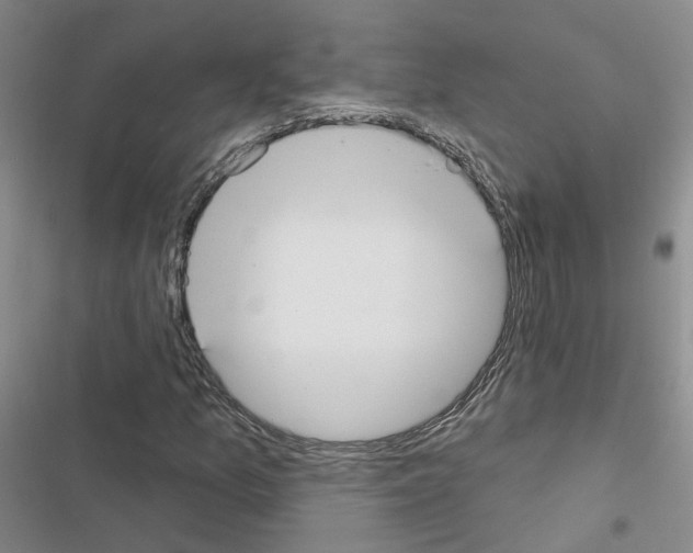 X0000116431157201001191505