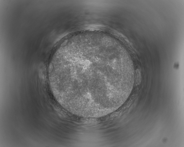 X0000116431158201001191505