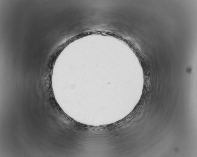 X0000116431159201001191505