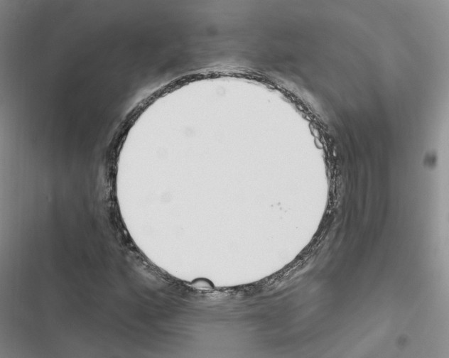 X0000116431160201001191505