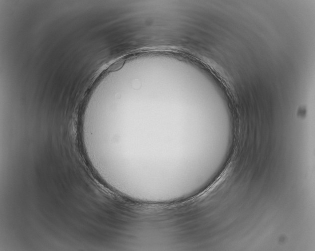 X0000116431161201001191505