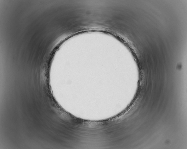 X0000116431163201001191505