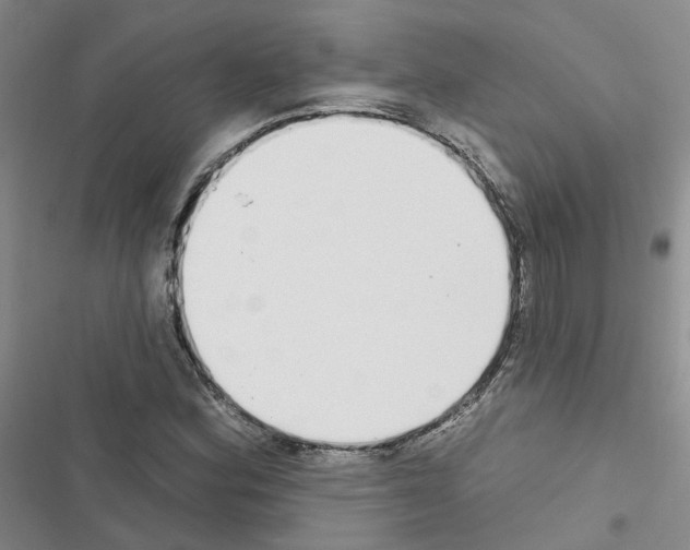 X0000116431164201001191505