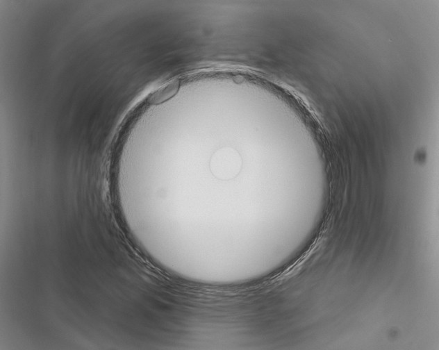 X0000116431165201001191505