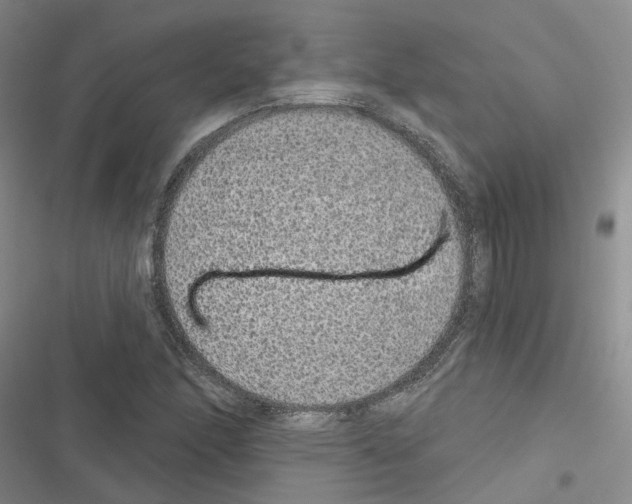 X0000116431166201001191505