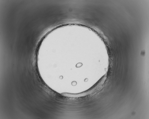 X0000116431167201001191505