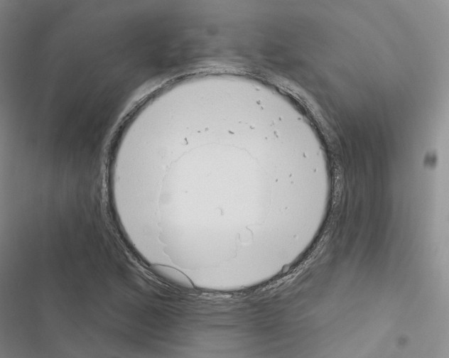 X0000116431168201001191505