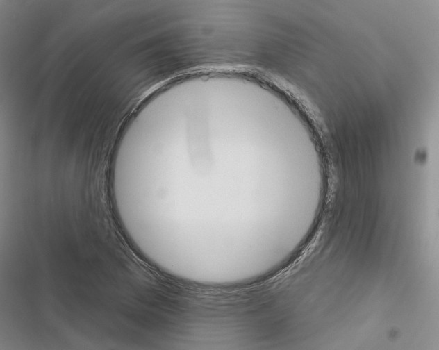 X0000116431169201001191505