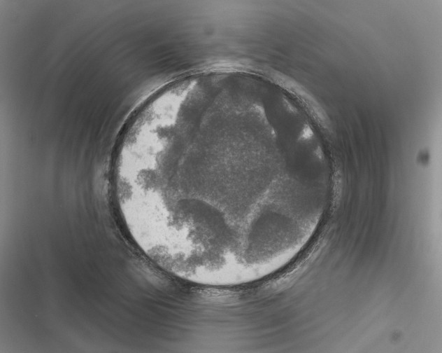 X0000116431170201001191505