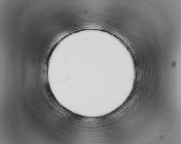 X0000116431171201001191505
