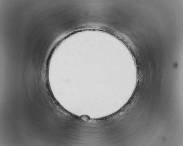 X0000116431172201001191505