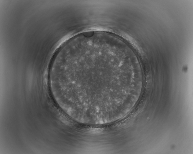 X0000116431173201001191504