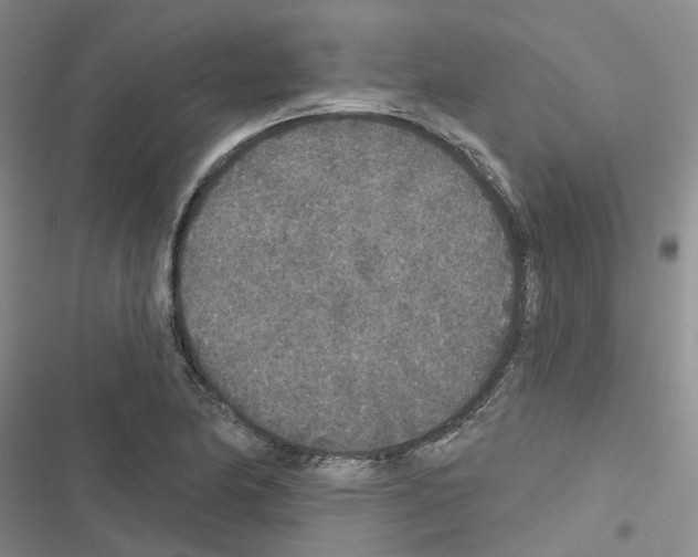 X0000116431174201001191504