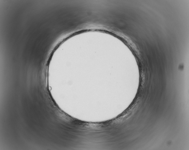 X0000116431175201001191504