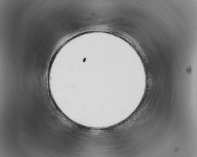 X0000116431176201001191504