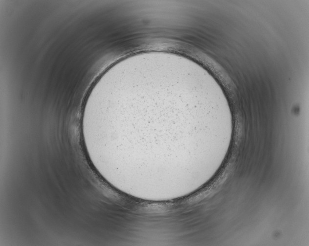 X0000116431178201001191504