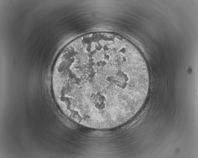 X0000116431179201001191504