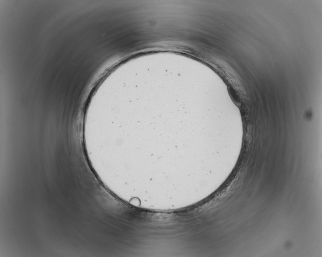 X0000116431180201001191504