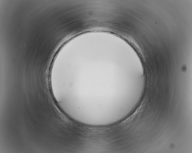 X0000116431181201001191504