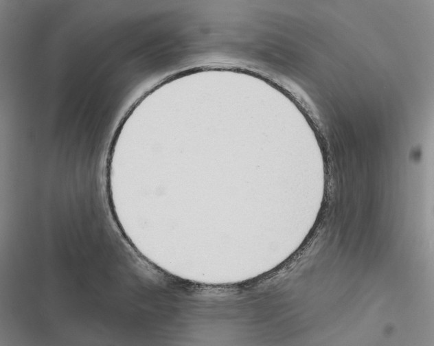 X0000116431183201001191504