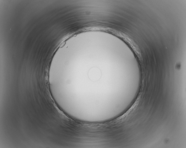 X0000116431185201001191504