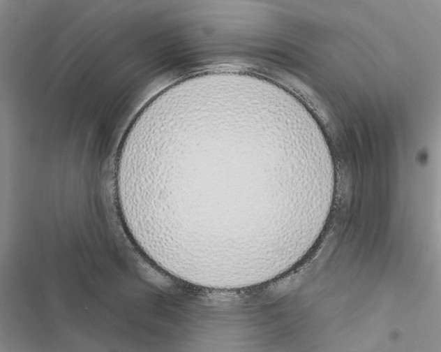X0000116431186201001191504