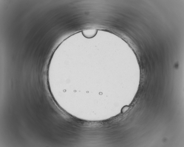 X0000116431187201001191504