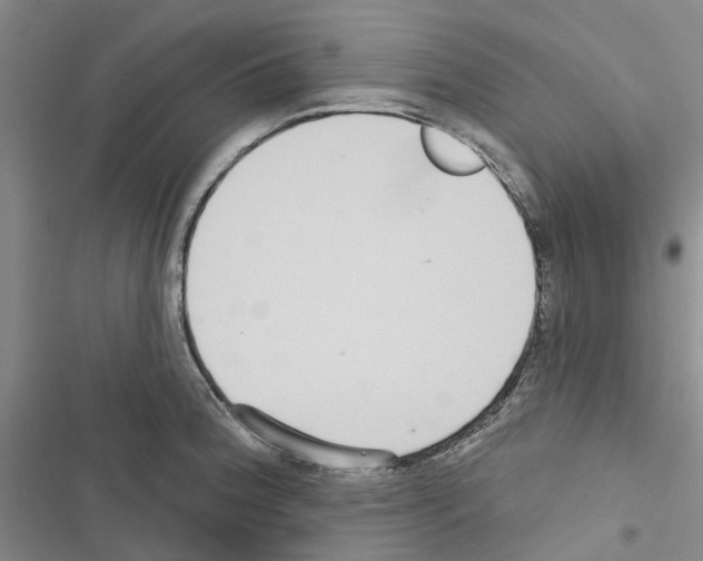 X0000116431188201001191504