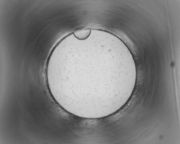 X0000116431190201001191504