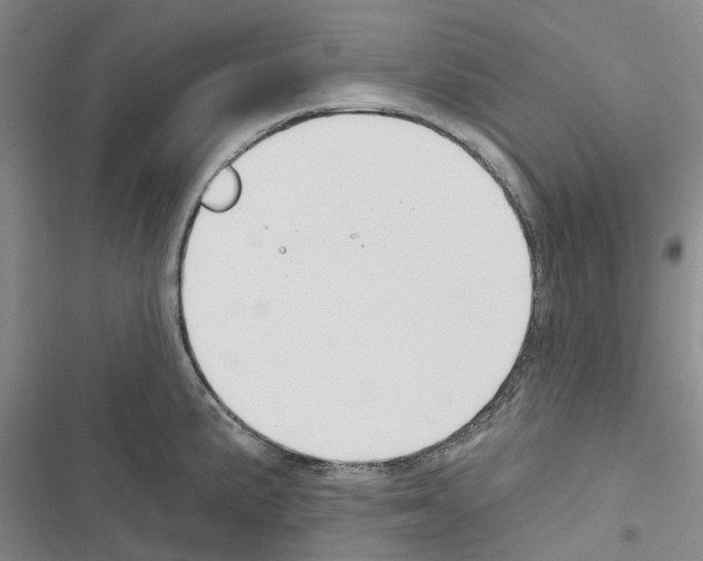 X0000116431191201001191504