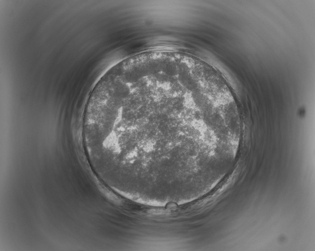 X0000116431194201001191504
