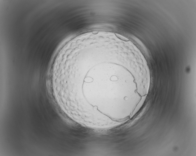 X0000116431196201001191504