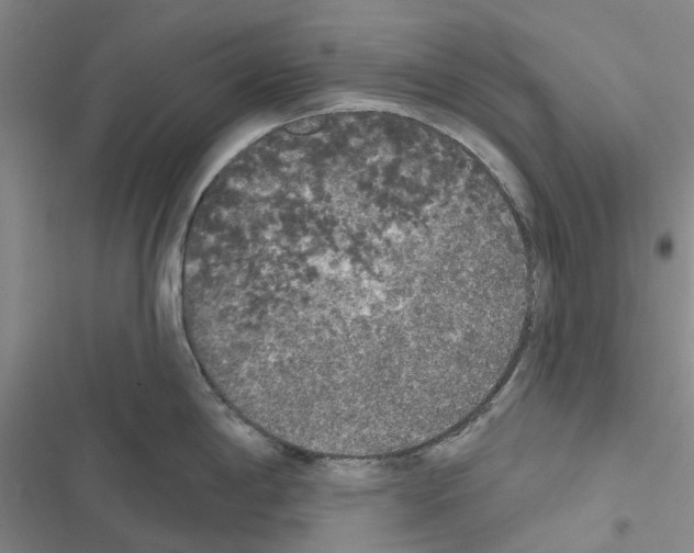 X0000116431198201001191504