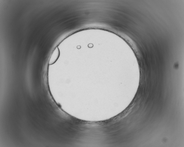 X0000116431199201001191504