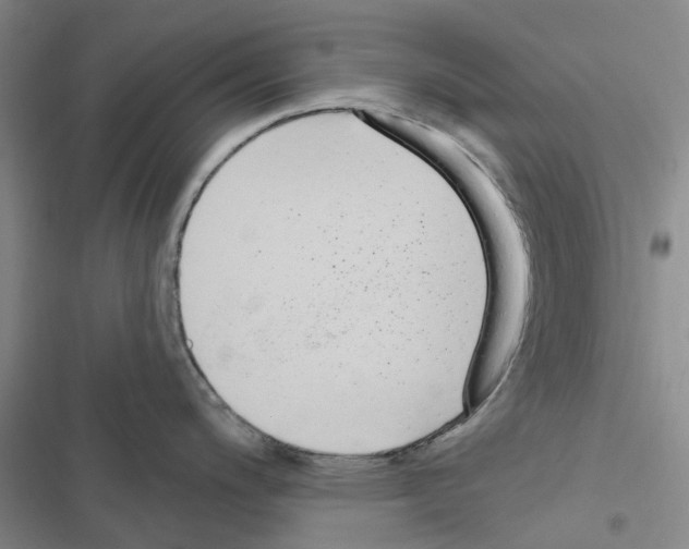 X0000116431200201001191504