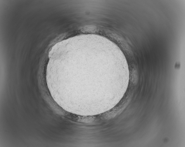 X0000116431201201001191503