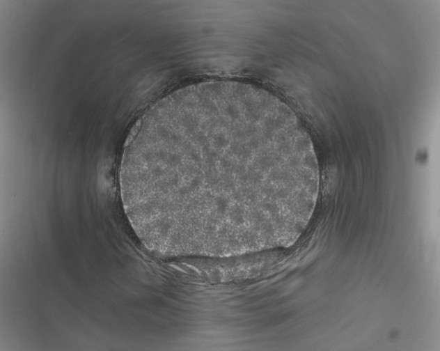 X0000116431202201001191503