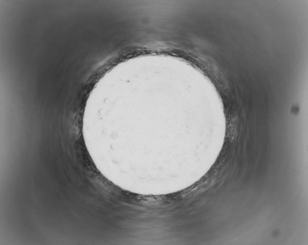 X0000116431205201001191504
