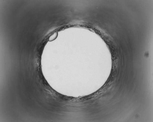 X0000116431206201001191504