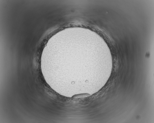 X0000116431207201001191504