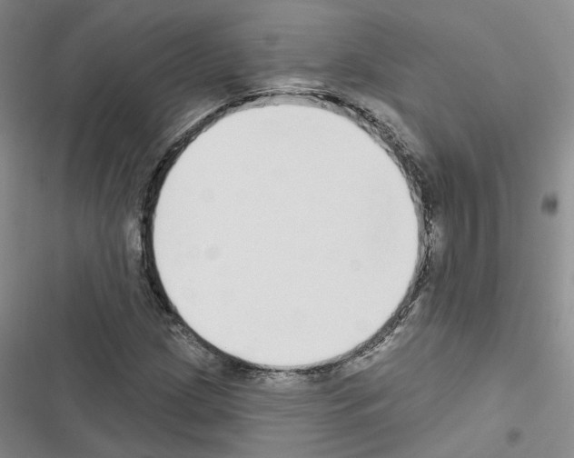 X0000116431209201001191504