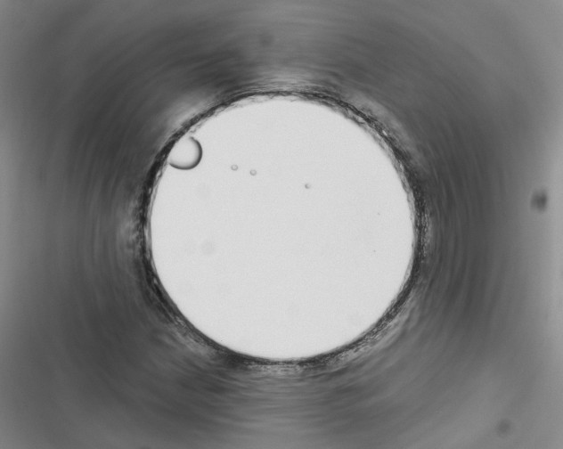 X0000116431210201001191504