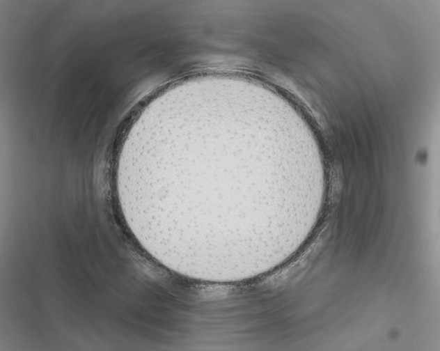 X0000116431211201001191504